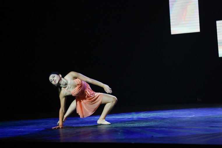 Tribe Dance Hold Your Dream 